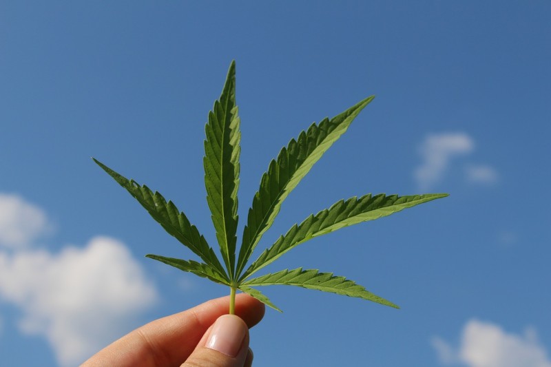 How Can Cannabis Affect Our Lungs?