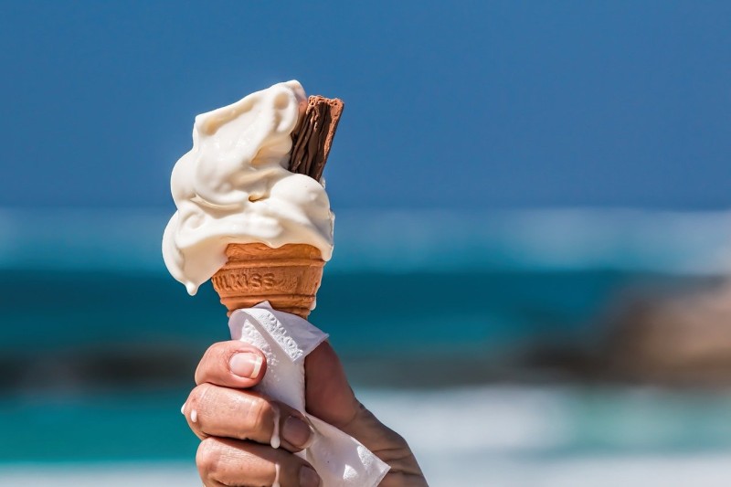Increasing Use of Functional Ingredients in Products to Drive Growth