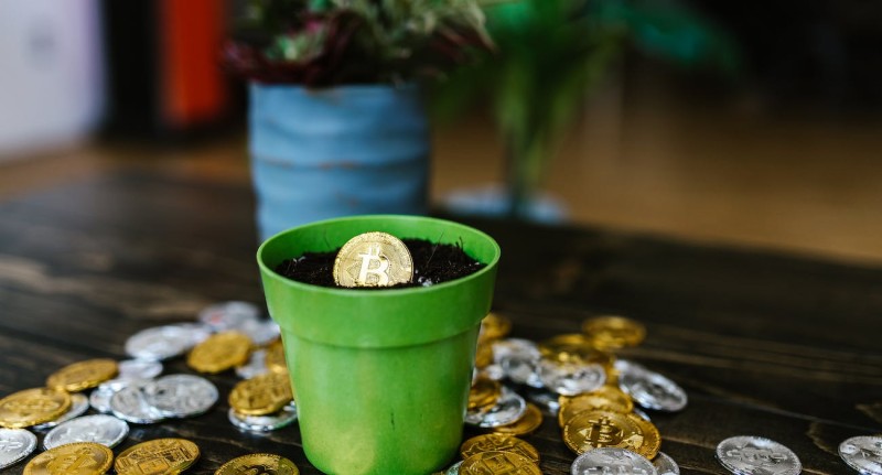 "Navigating Cryptocurrency Investments: Understanding Safety in a Volatile Market"