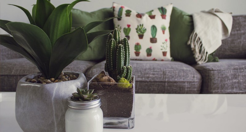 Tradition Meets Creativity: Diwali Home Decor Tips